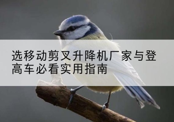 昌江电动升降机厂家-选移动剪叉升降机厂家与登高车必看实用指南